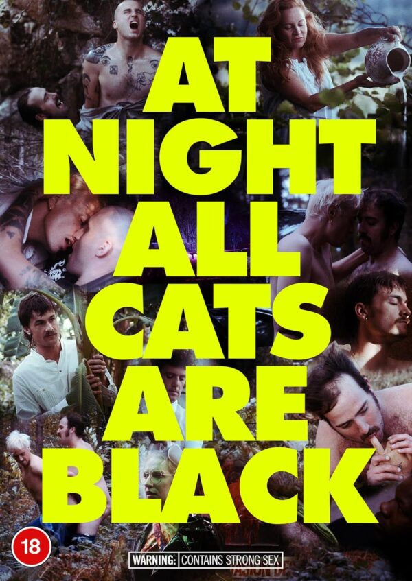 At night all cats are black (DVD)